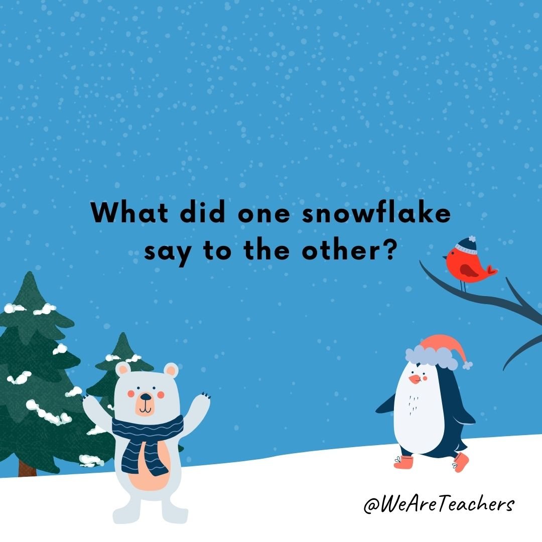 What did one snowflake say to the other?
