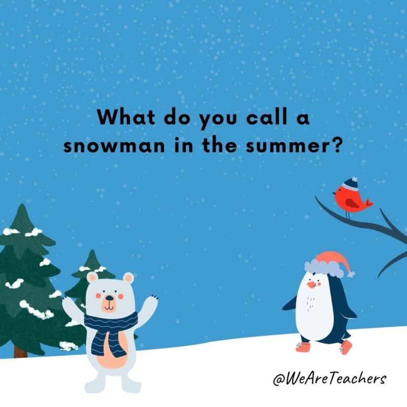 What do you call a snowman in the summer? A puddle.