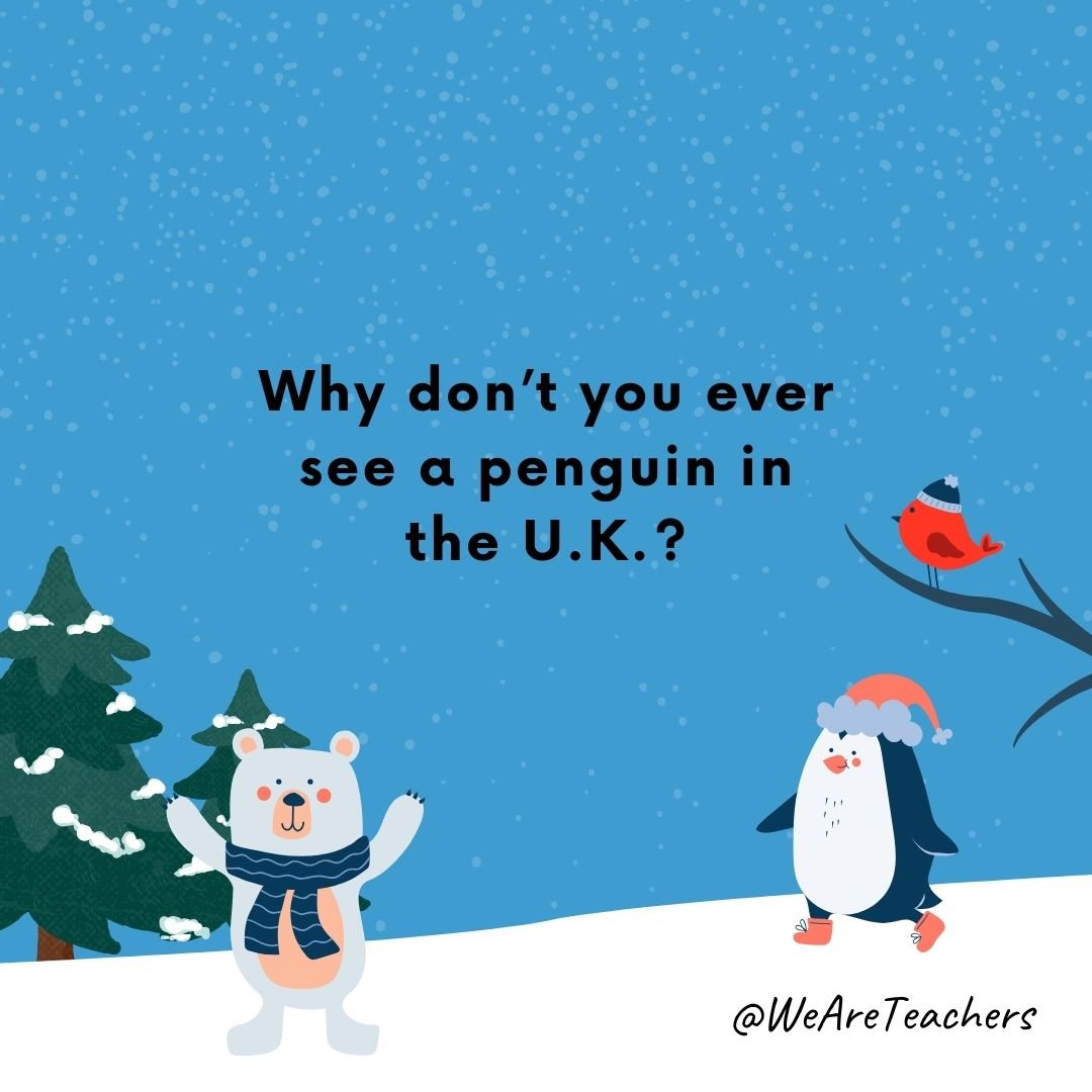 Why don't you ever see a penguin in the U.K.? 
