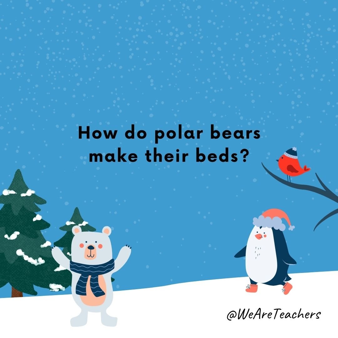 How do polar bears make their beds?
