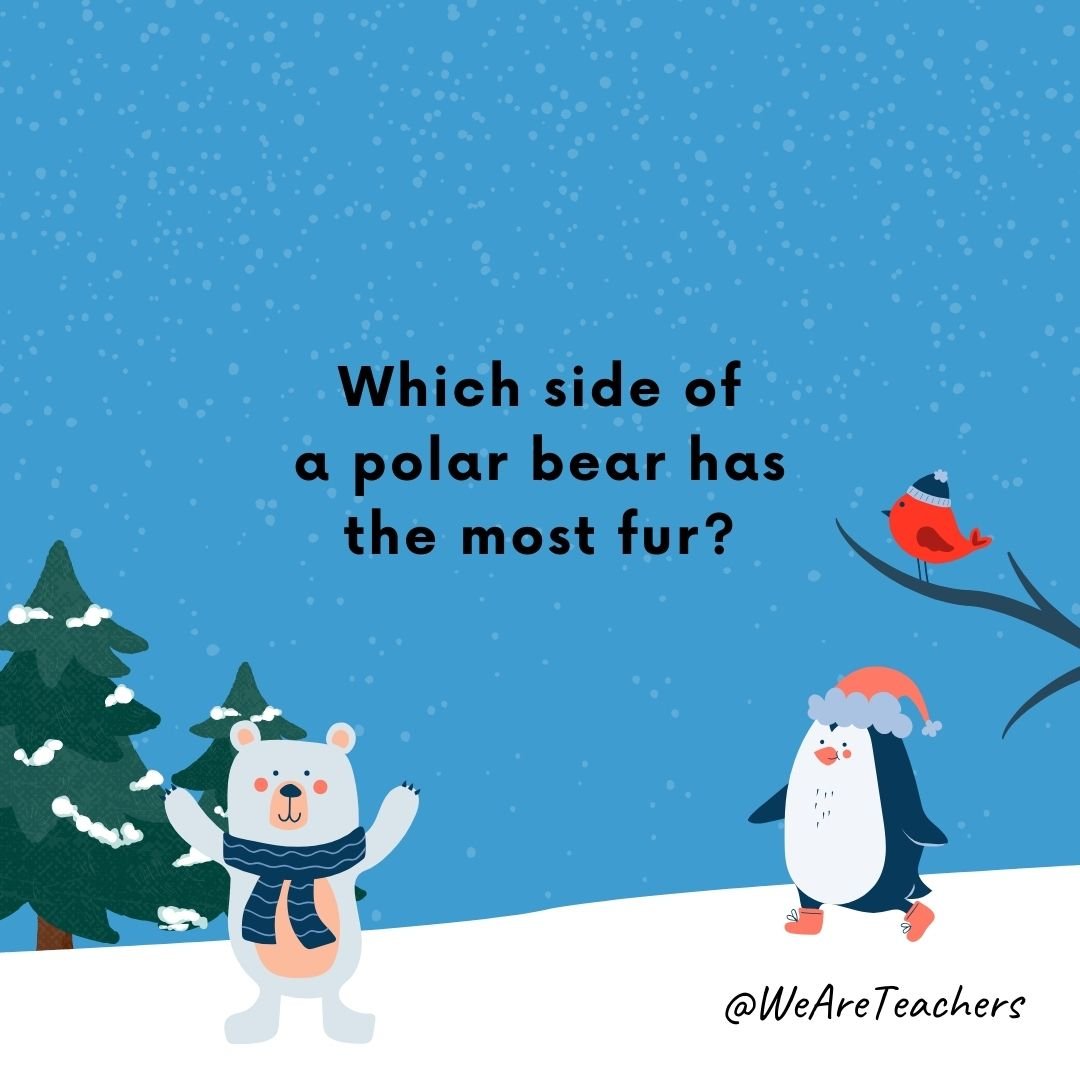 Which side of a polar bear has the most fur?
