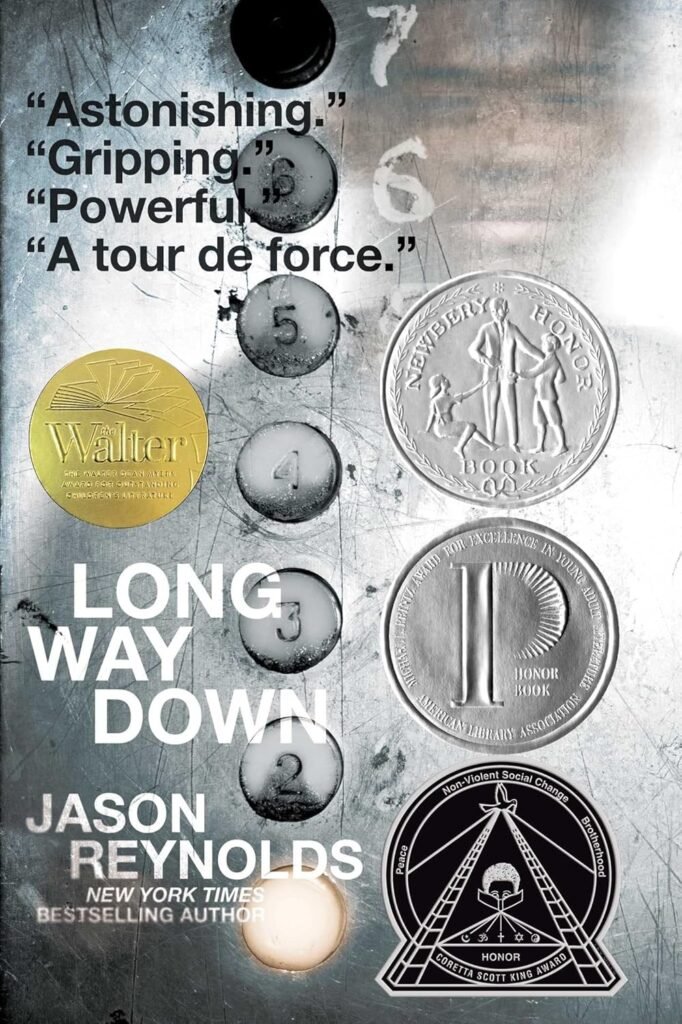 Long Way Down book cover