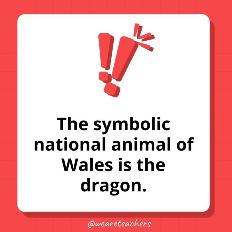 The symbolic national animal of Wales is the dragon.- weird fun facts