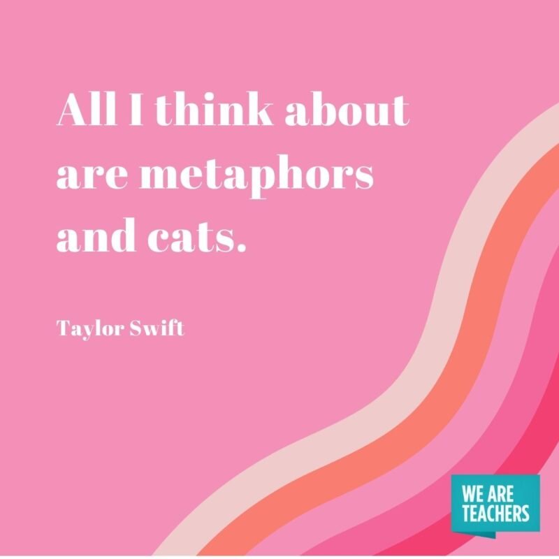 All I think about are metaphors and cats.