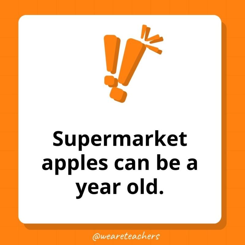 Supermarket apples can be a year old.