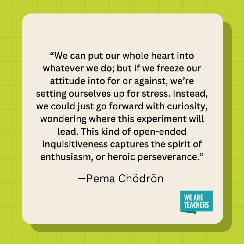 We can put our whole heart into whatever we do; but if we freeze our attitude into for or against, we're setting ourselves up for stress. Instead, we could just go forward with curiosity, wondering where this experiment will lead. This kind of open-ended inquisitiveness captures the spirit of enthusiasm, or heroic perseverance.- inspirational quotes