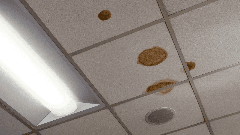 Drop ceiling in a school with bad air quality showing water stains