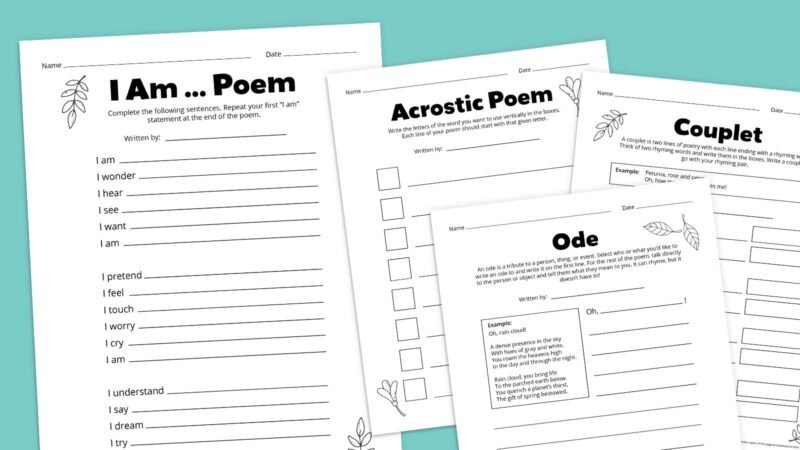 Flat lays of poetry worksheet bundle
