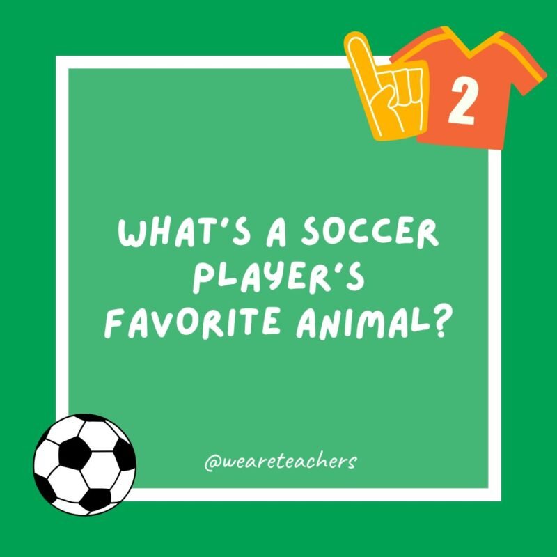 What’s a soccer player’s favorite animal?
