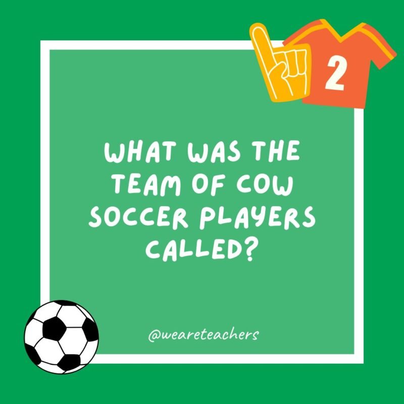 What was the team of cow soccer players called?