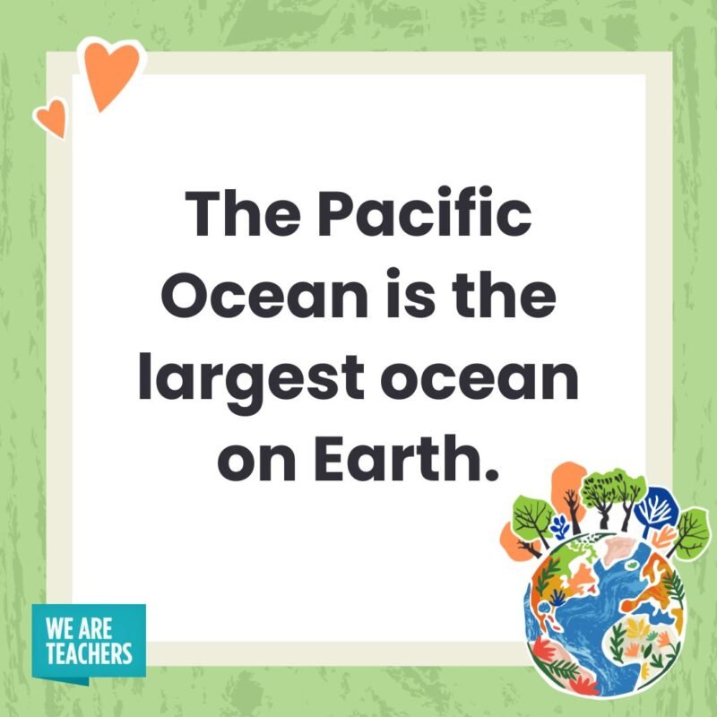 The Pacific Ocean is the largest ocean on Earth. The Pacific Ocean is the largest ocean on Earth.