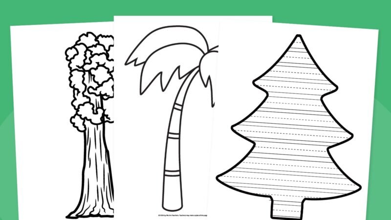 [image: Palm Tree, Pine Tree, Sequoia Tree]