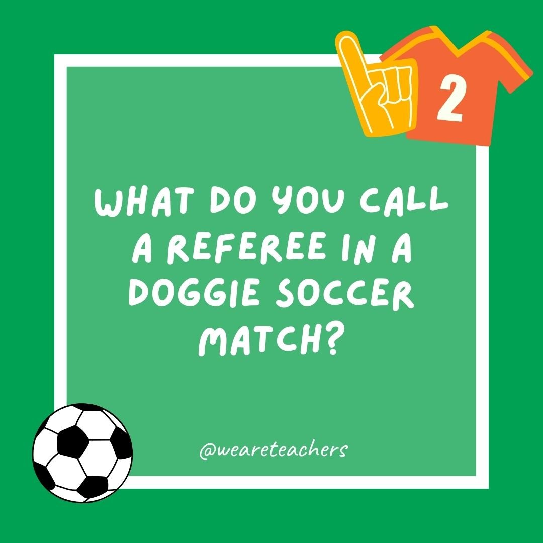 What do you call a referee in a doggie soccer match?
