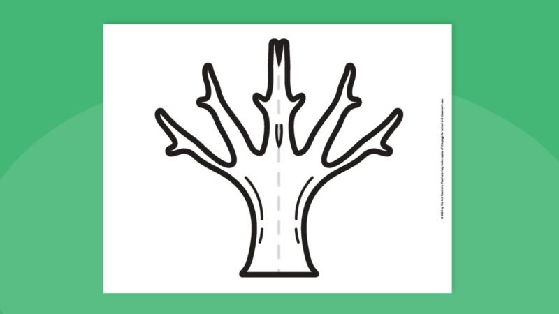 [image: 3D tree template]