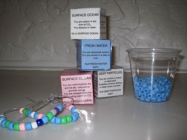 Carbon Cycle Classroom Game consisting of paper dice, string of beads, and cup full of beads