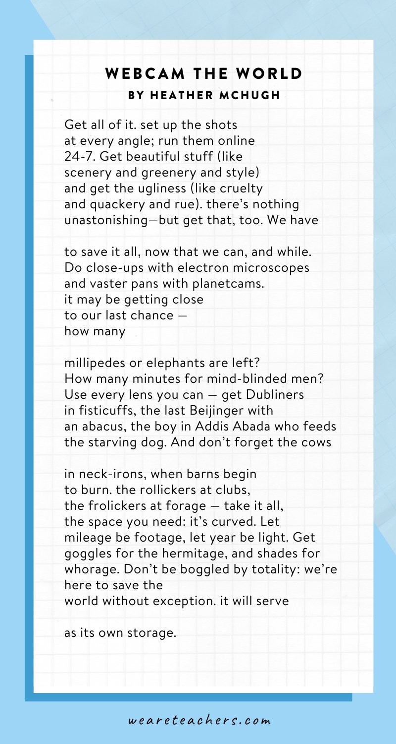 Webcam the World by Heather McHugh