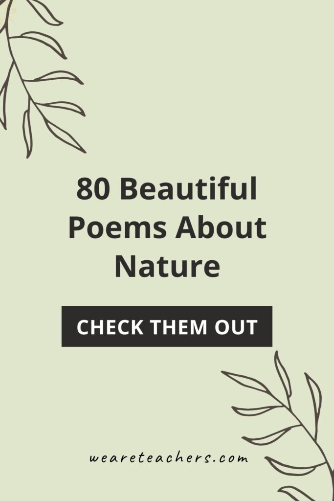 These beautiful poems about nature will inspire your students and are perfect for sharing in the classroom all year round.