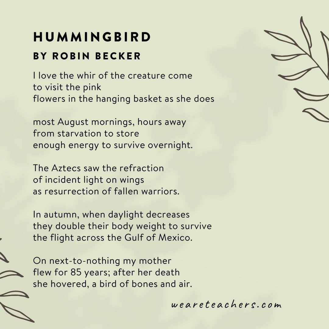 Hummingbird by Robin Becker -  poems about nature