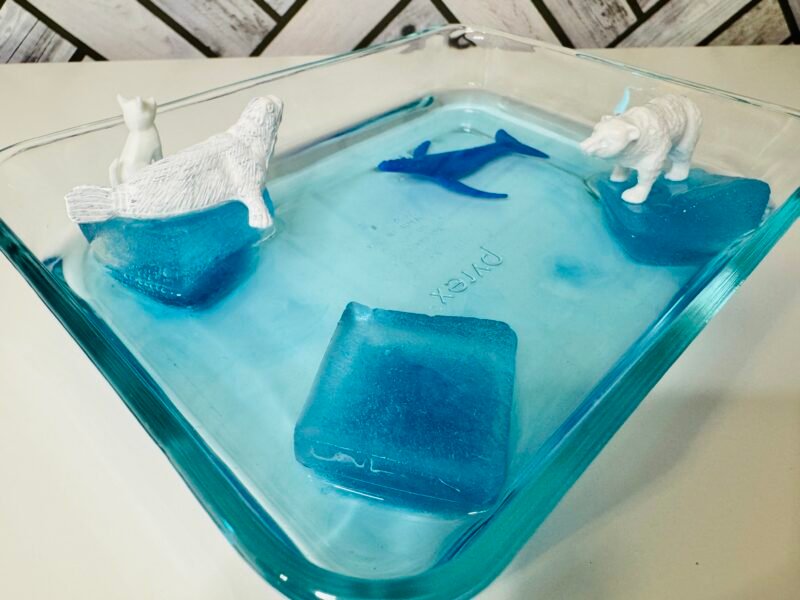 Two model polar bears floating on a small piece of ice in a plastic container 