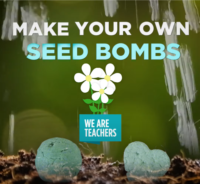 Screenshot from a video about how to make seed bombs as an example of Earth Day Crafts 