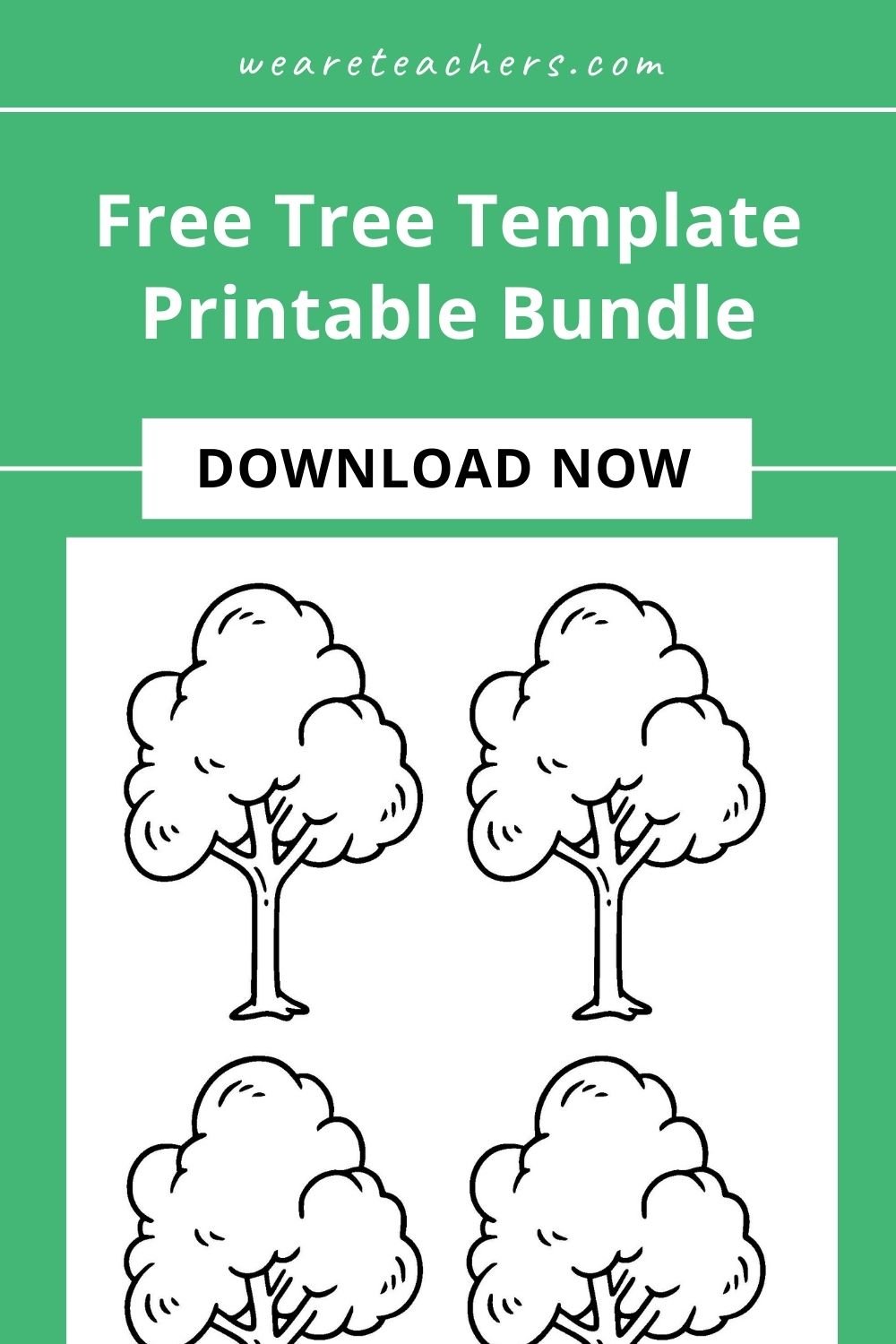 Use these tree templates in winter, spring, summer, and fall to engage students in learning about trees, from roots to shoots.