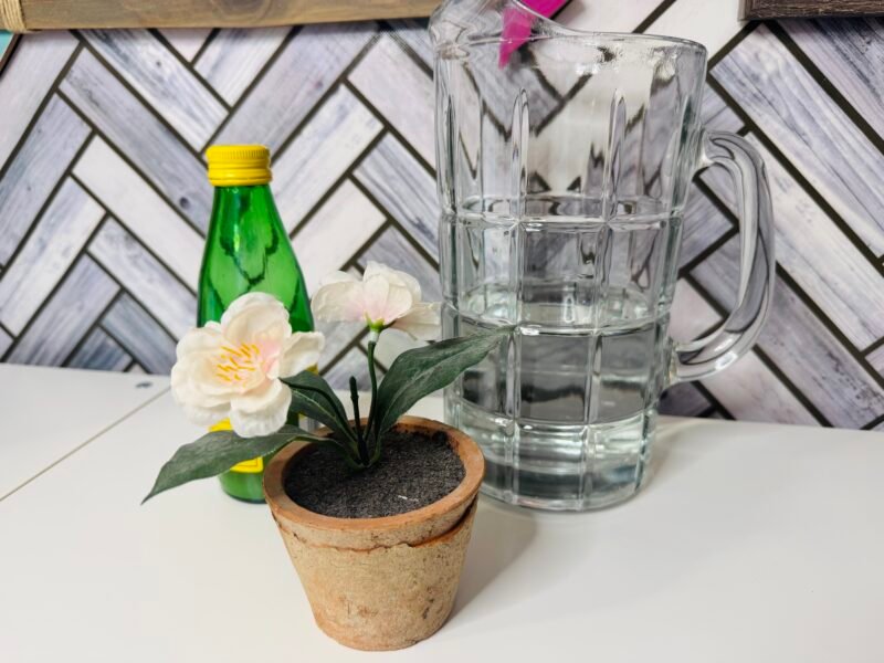 Glass measuring cup, glass jars, and bottle of lemon juice (Climate Change Activities)