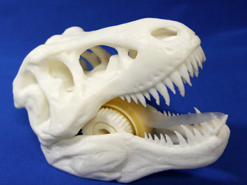 3d printed tree skull with tape dispenser inside as an example of 3D printing ideas