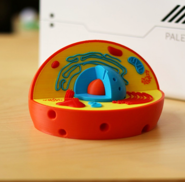 3d printed colored cell model