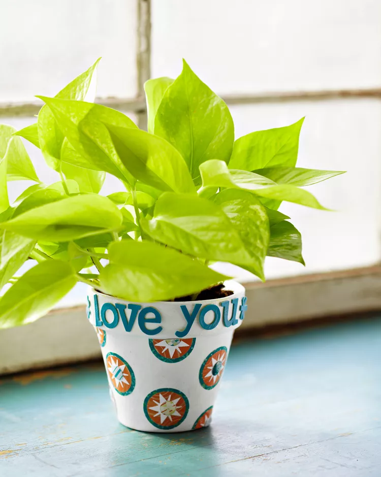 A bright green plant sit in a decorated pot that says "Love you" as an example of father's day gifts for kids