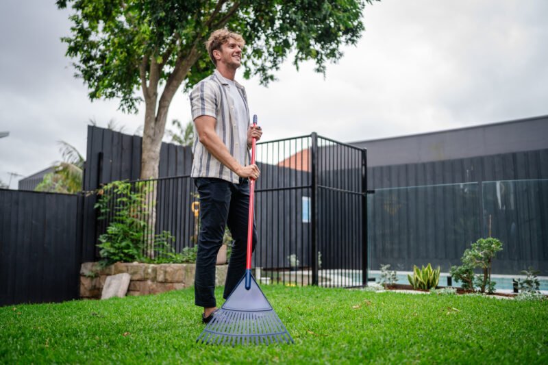 A man stands on lush green grass holding a large rake with a black fence and a tree in the background, perfect for gardening and outdoor work themes.