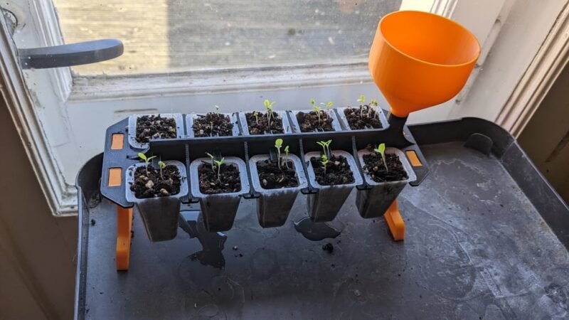 A seeding planter with 10 small containers for seeds in rows of five is shown. An orange water container is attached.