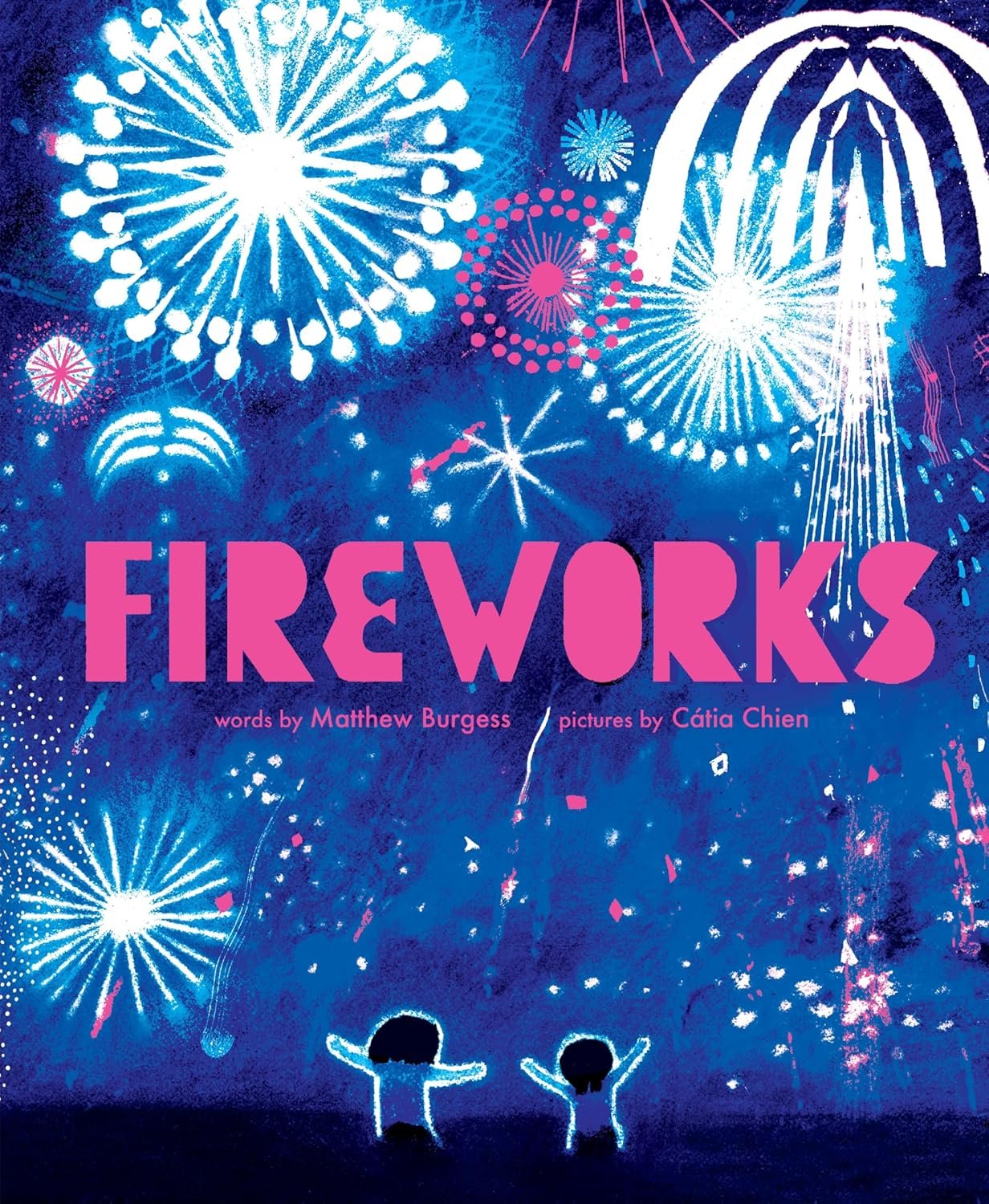 Fireworks Fireworks book cover