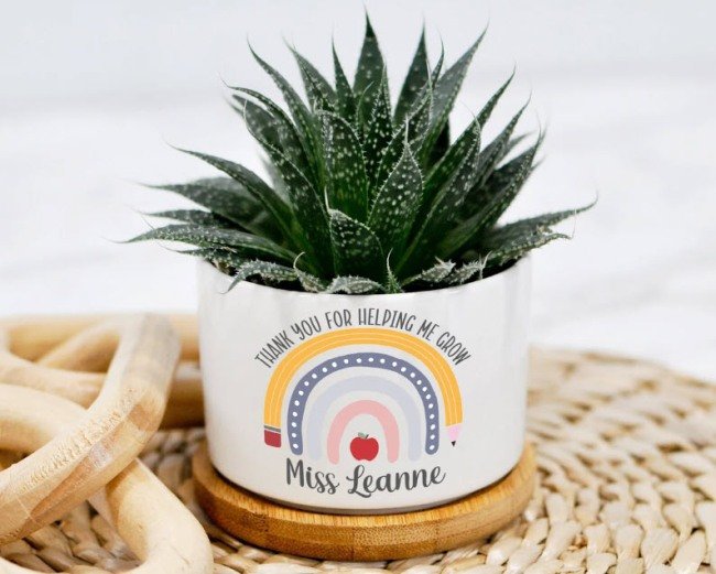 Small white ceramic planter with a succulent. Printing on the planter reads "Thank You for Helping Me Grow" with a rainbow and teacher's name