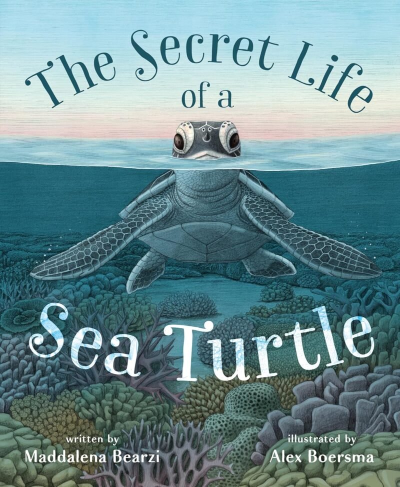 The Secret Life of a Sea Turtle The Secret Life of a Sea Turtle book cover