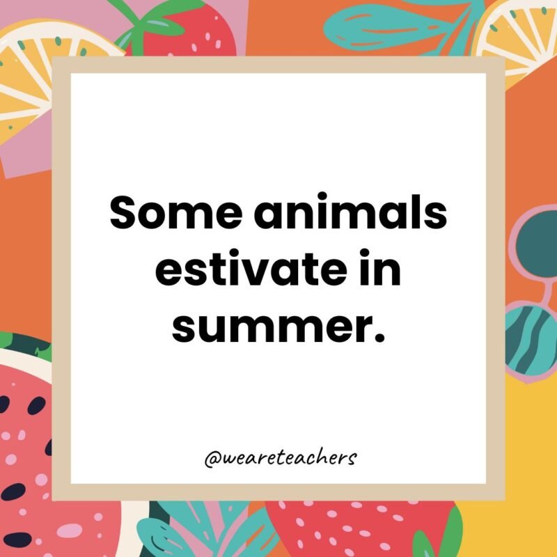 Some animals estivate in summer.