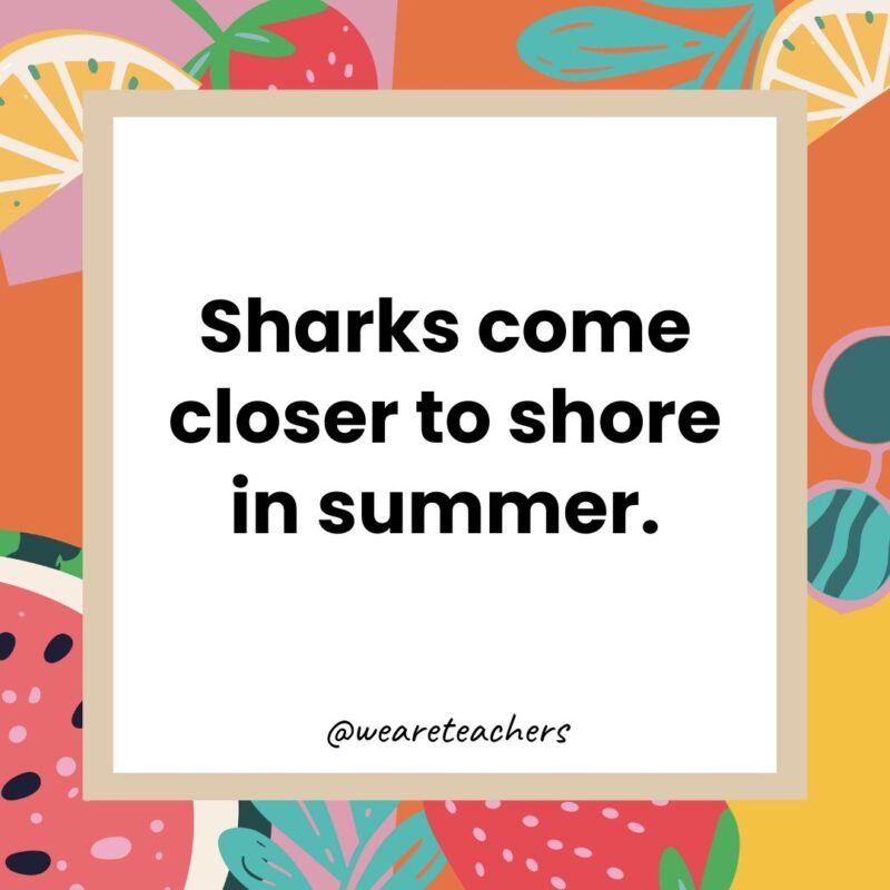 Sharks come closer to shore in summer.