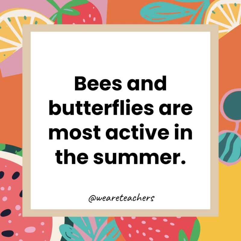 Bees and butterflies are most active in the summer.