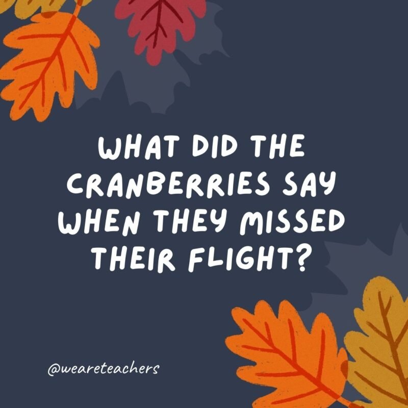 What did the cranberries say when they missed their flight?