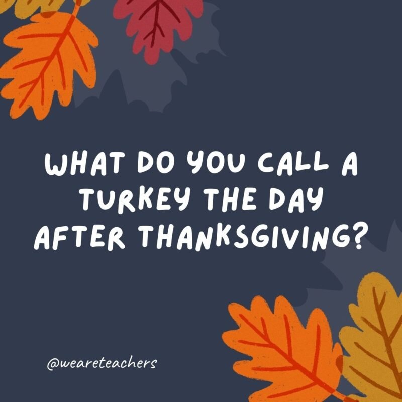 What do you call a turkey the day after Thanksgiving? Lucky!