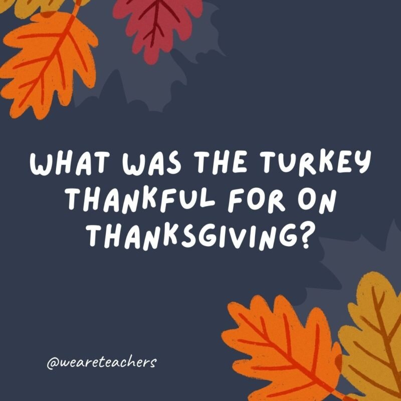 What was the turkey thankful for on Thanksgiving? Vegetarians.