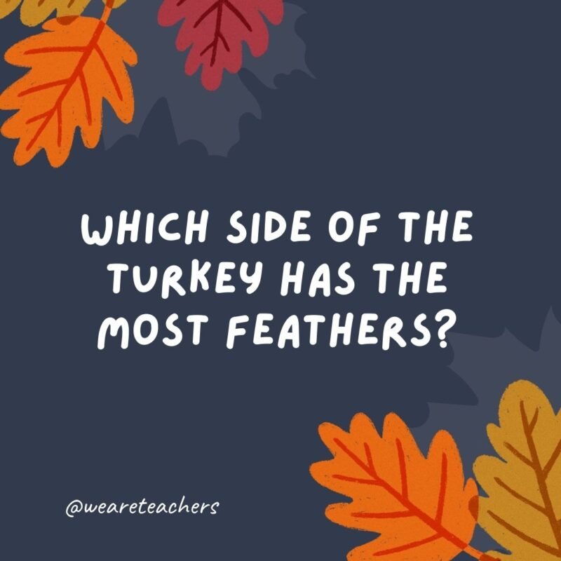 Which side of the turkey has the most feathers?