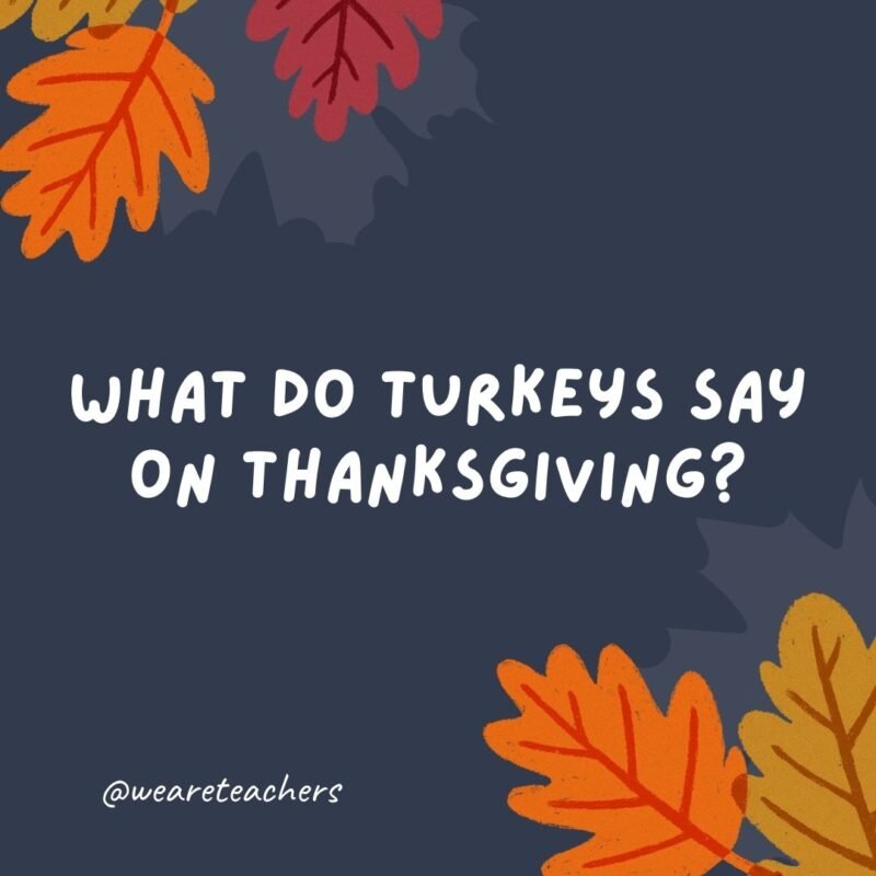 What do turkeys say on Thanksgiving? Moo. -thanksgiving jokes