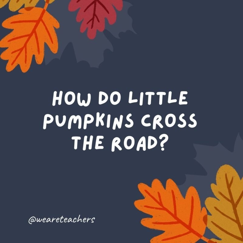How do little pumpkins cross the road? With a crossing gourd.