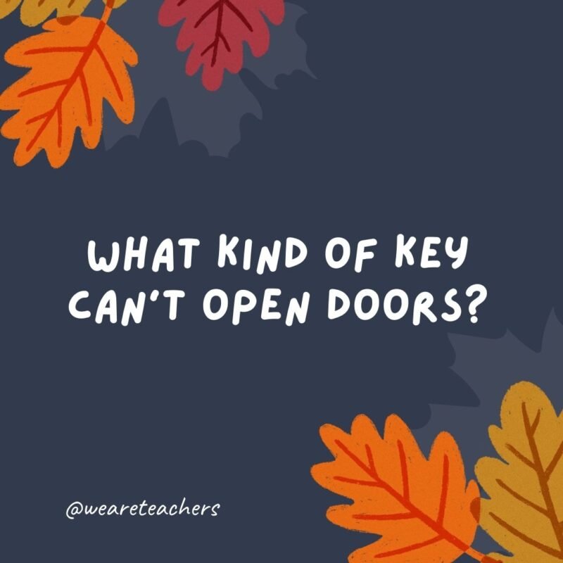 What kind of key can't open doors? A tur-key.