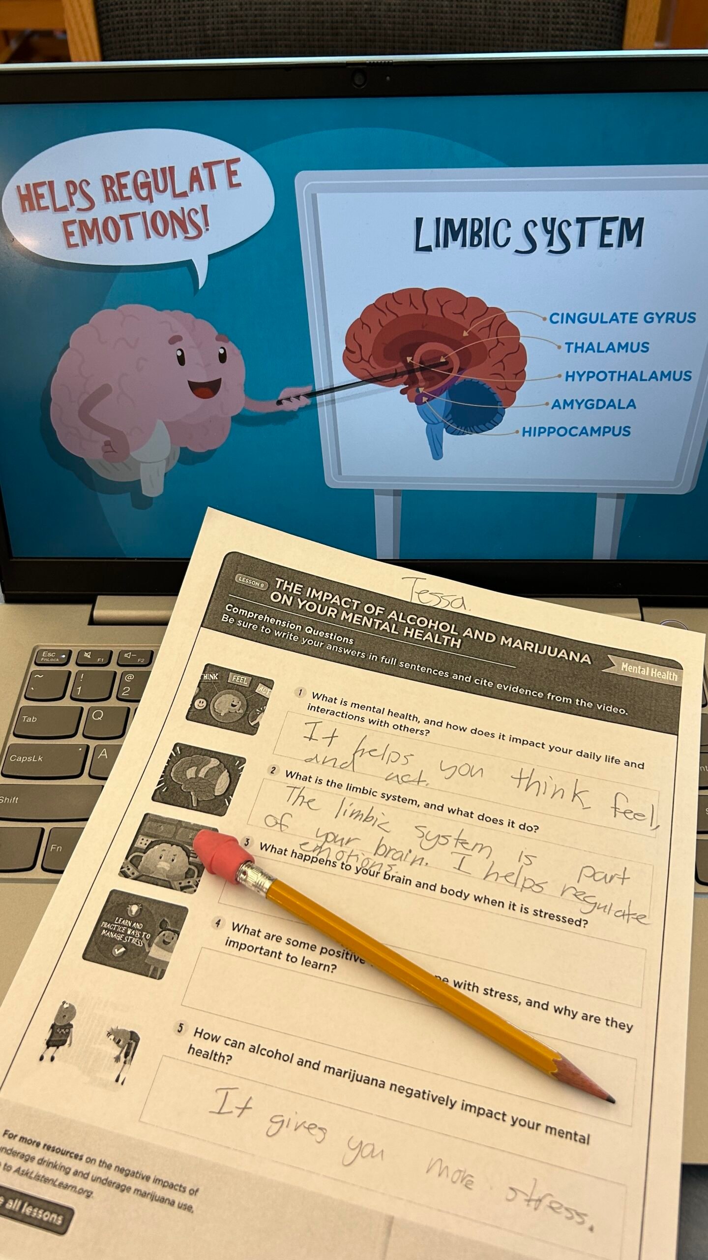 Image of video and worksheets from Ask, Listen, Learn lesson resources