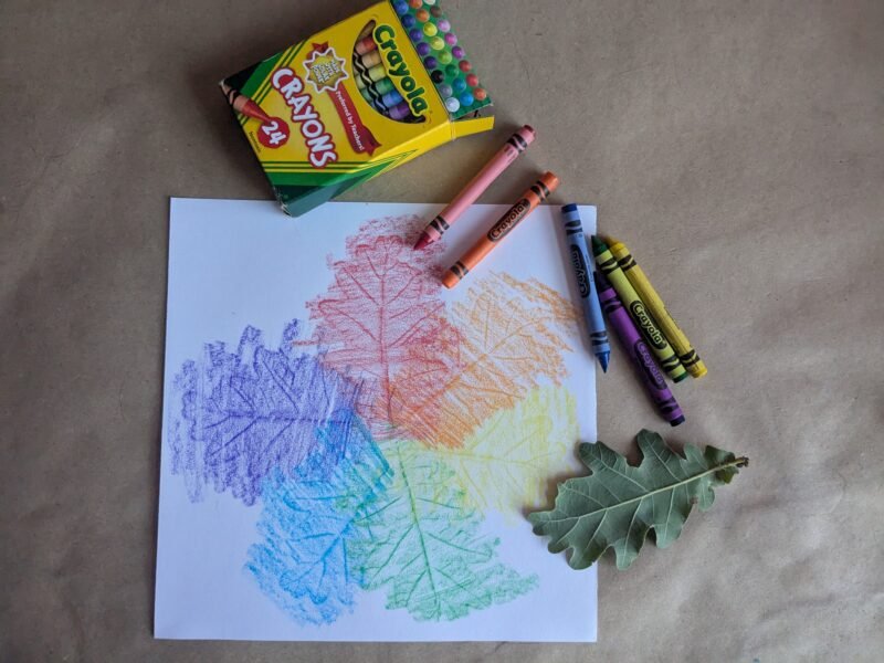 Fall art projects leaf color wheel example