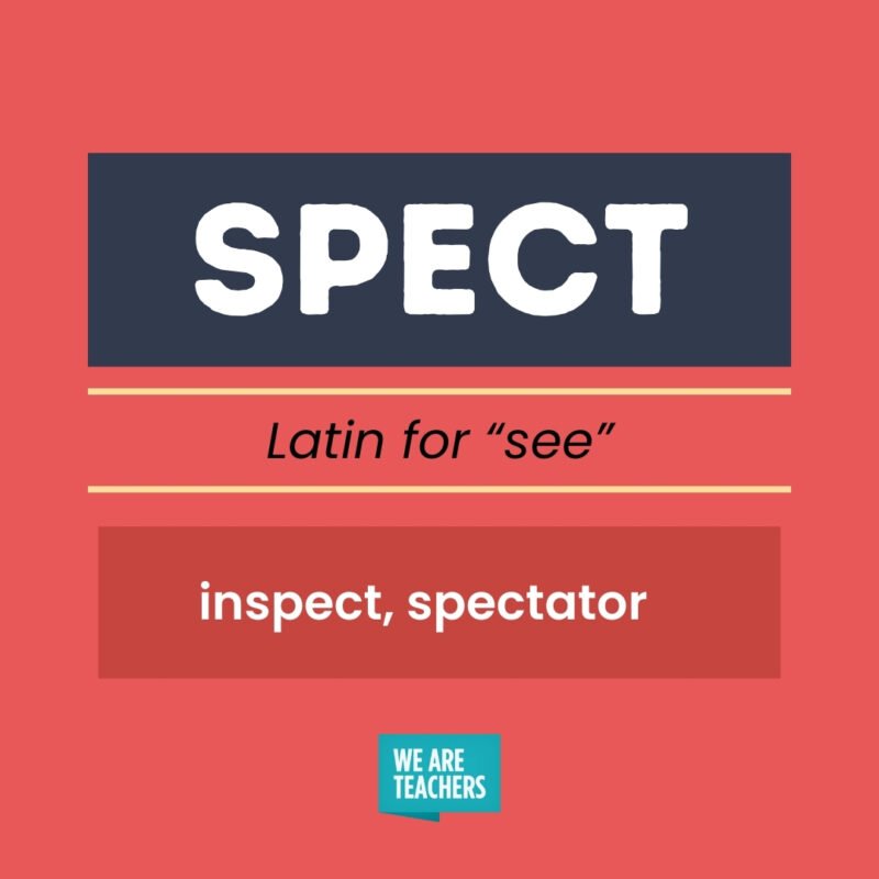 SPECT, Latin for see