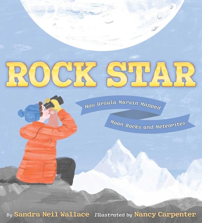 Rock Star Rock Star book cover