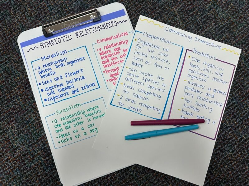 two examples of the boxing note taking strategy for students