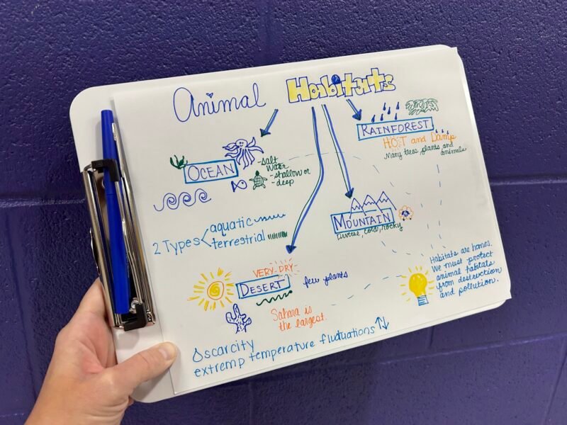 student example of how they used sketchnotes to take notes about animal habitats